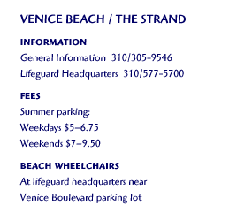 Venice Beach / The Strand